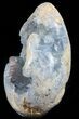 Crystal Filled Celestine (Celestite) Egg Geode #59360-2
